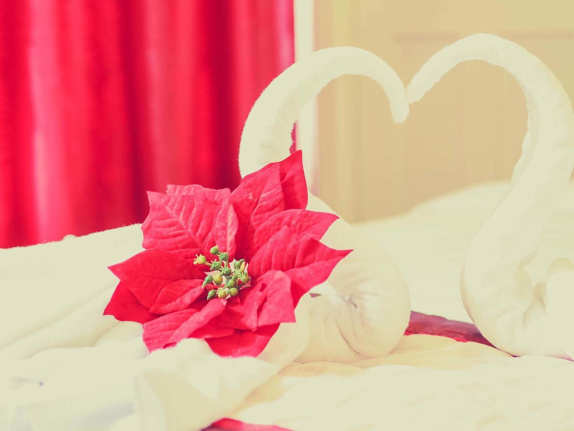 Minh Hoang Hy Hotel Đà Nẵng Extérieur photo
